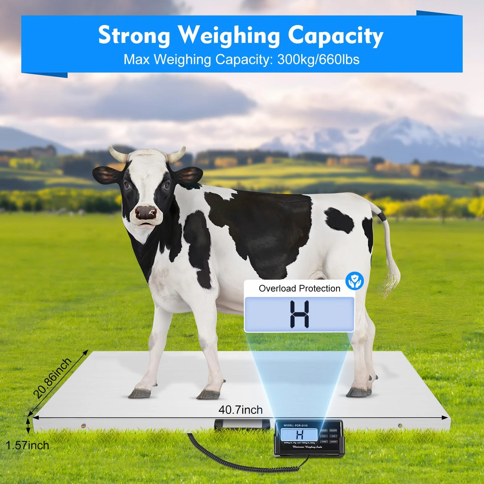 Plattformwaage 300kg Digitalwaage Paketwaage Veterinärwaage Große Tierwaage Katzenwaage Hundewaage 103x53cm mit LCD Monitor