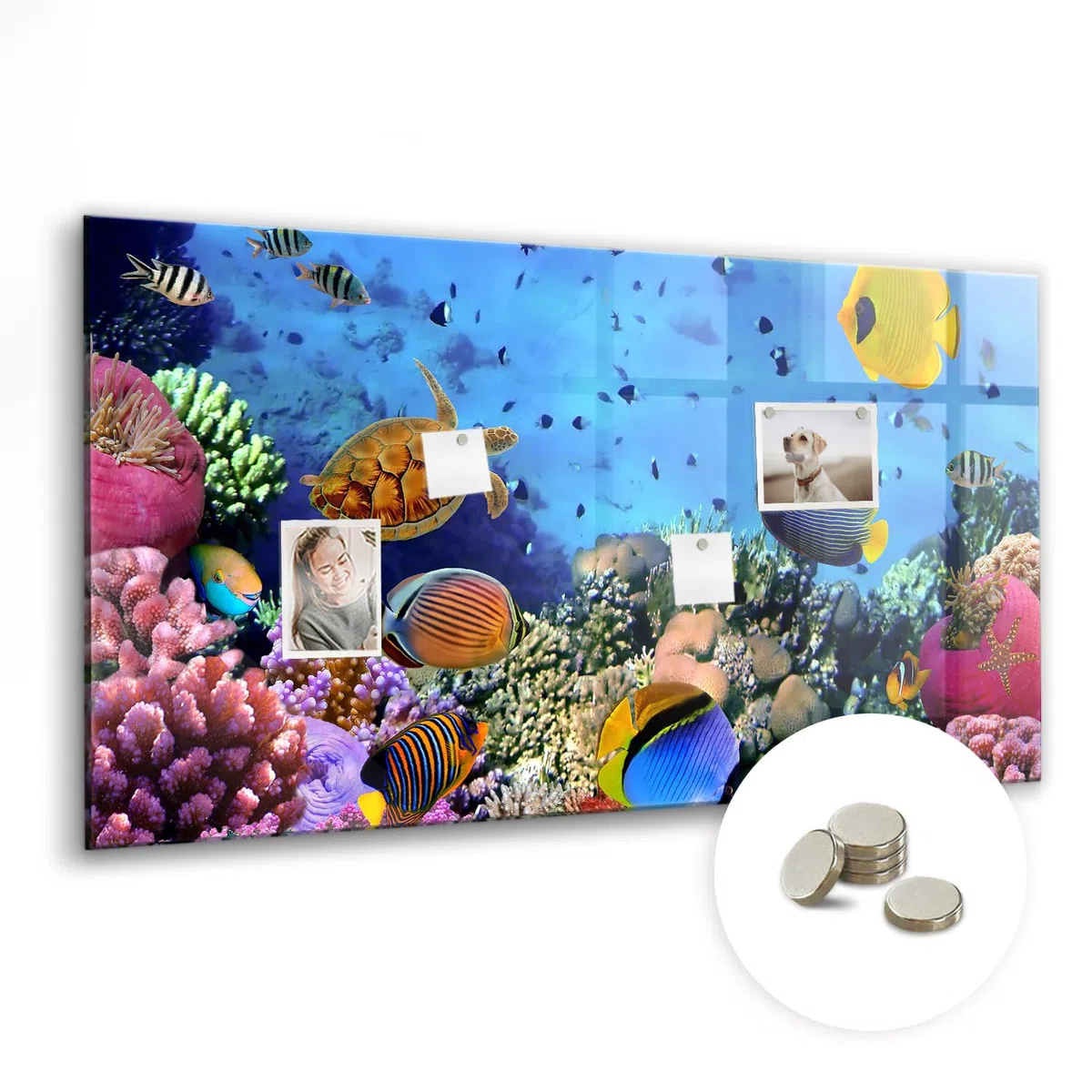 Magnettafel Glas mit Zubehör | Schreibtafel abwischbar | Glasboard mit Neodym-Magneten | Modernes Wandboard für Organisation, Planung & kreative Ideen - 120x60cm Unterwasserleben