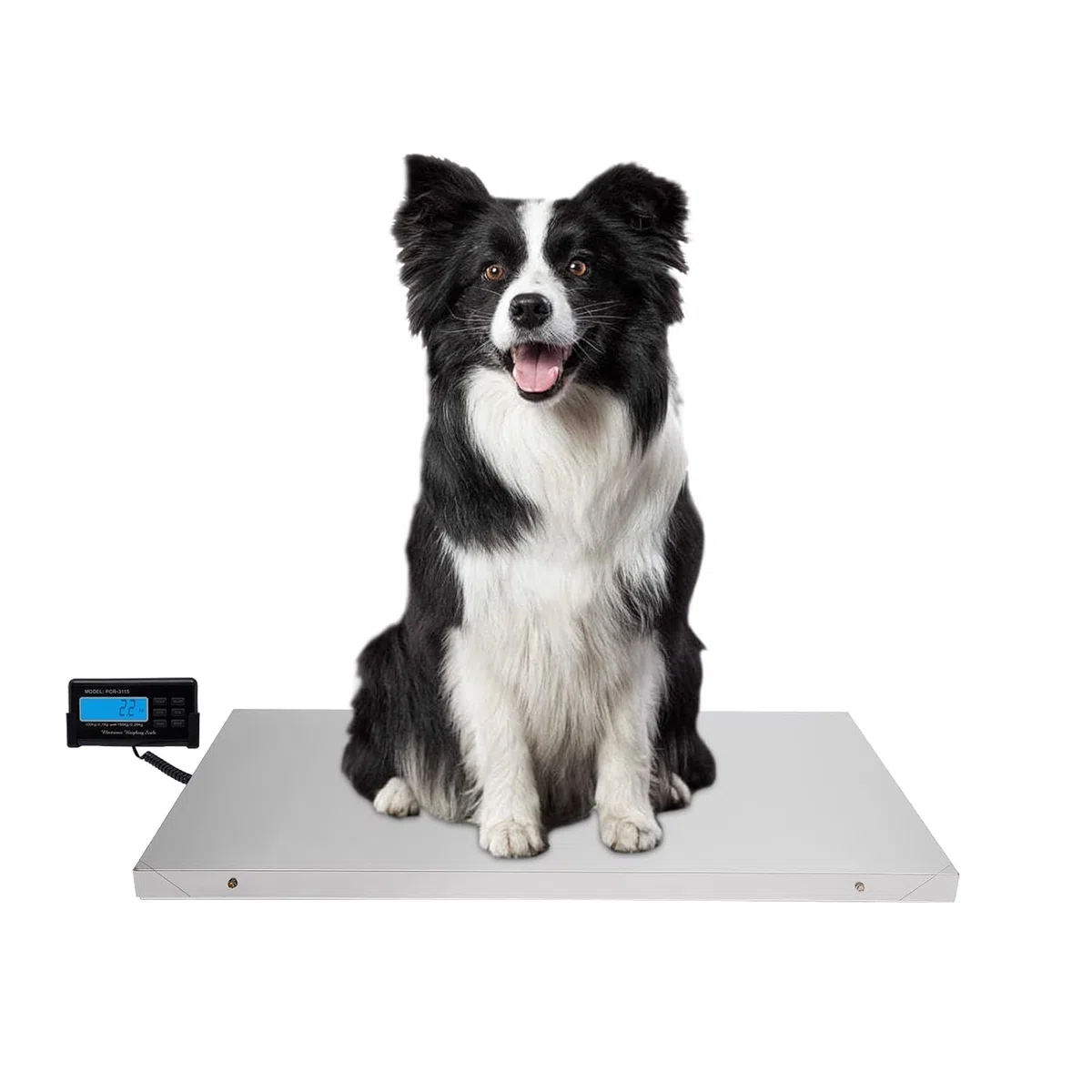 Tierwaage für Große Hunde, Veterinärwaage mit LCD-Bildschirm, Tierwaagen-Plattform mit kg/lb/oz, Tragkraft bis 300 kg, Dual-Modus-Wägung Genauigkeit 50g/100g, Tara/Halten, Batterie- oder Netzbetrieben