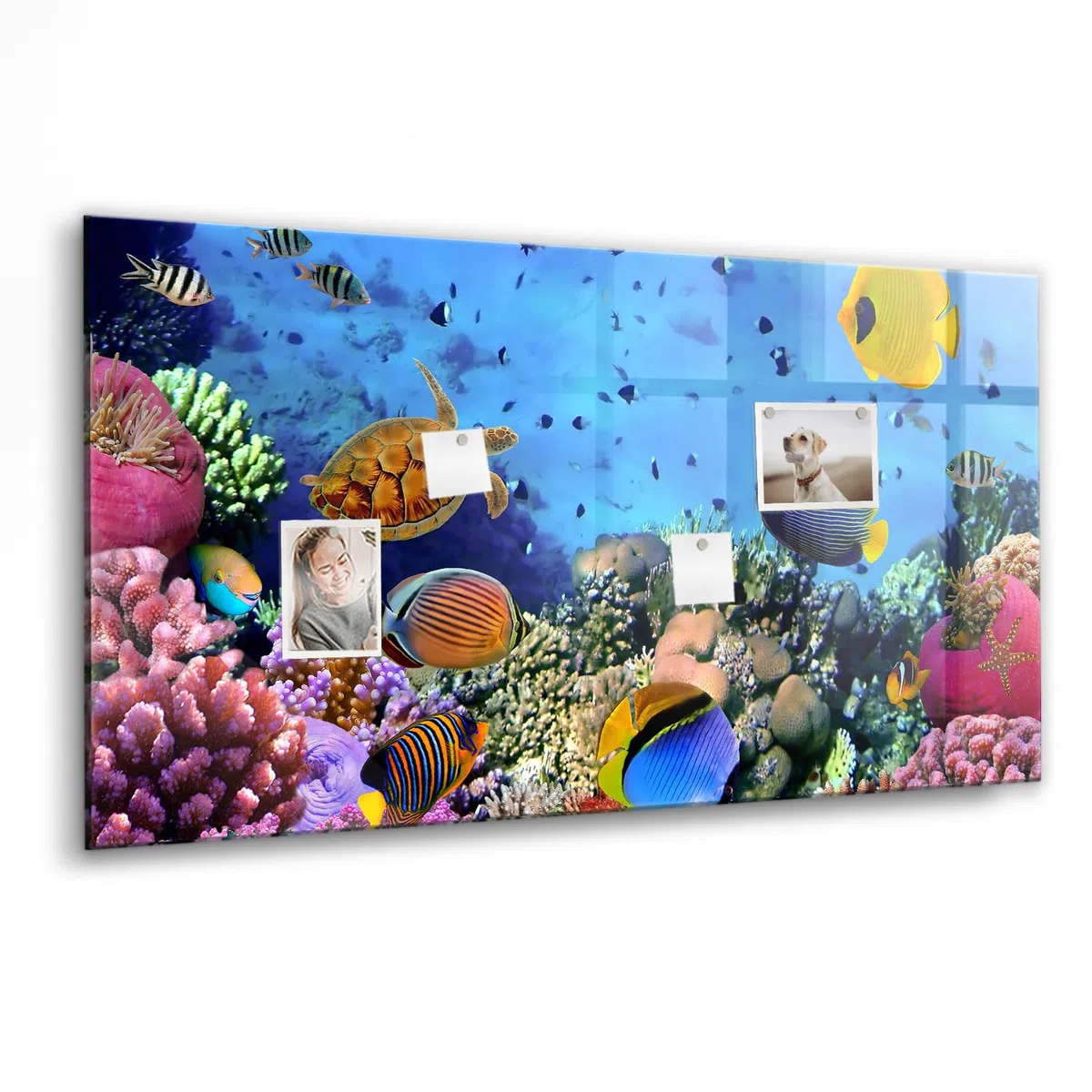 Magnettafel Glas mit Zubehör | Schreibtafel abwischbar | Glasboard mit Neodym-Magneten | Modernes Wandboard für Organisation, Planung & kreative Ideen - 120x60cm Unterwasserleben
